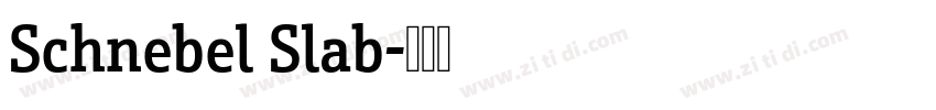 Schnebel Slab字体转换 Schnebel Slab字体转换